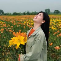 nhạc nền - 🪷Vườn Tâm Tuệ Giác 🙏🏻