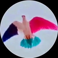 original sound - jutt_kabutar_bazz