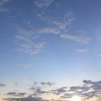 原声 - XiXi.Music