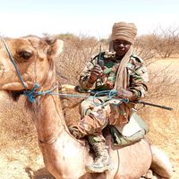 الصوت الأصلي