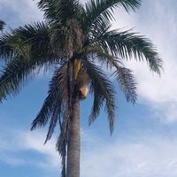 fortunate.amairani