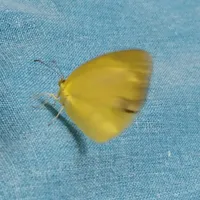 original sound - justmeandmyvoice1