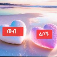 wibi_libochi