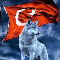 orijinal ses