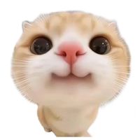 li__xda3