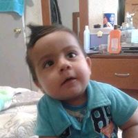 dafne_r02