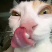 original sound - rolitas_sa