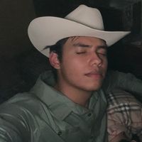 usuario_mamalon.com