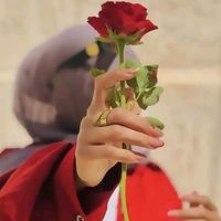 tiktok.hanadyalzalik