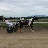 luisaguiar760