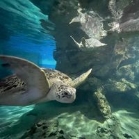 オリジナル楽曲 - 💋ᗪᗩᑎᑕᕼI ɢɪʀʟ💋