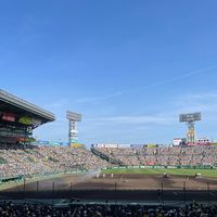 jin_jin_28