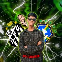 shahin..17