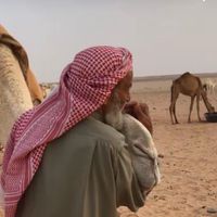 الصوت الأصلي