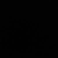 ci_wd