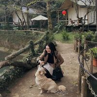 nhạc nền - cuộc sống bình yên