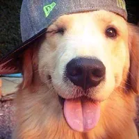 original sound - anonaman232