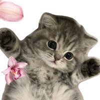 suara asli - lars