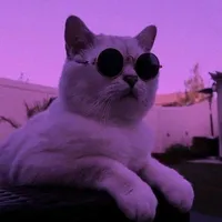 original sound - md_mahmudul_x_hamim098