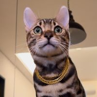 jbm_8.27