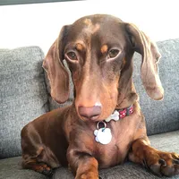 original sound - thelifeofdougdoug