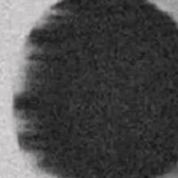 tz8_z