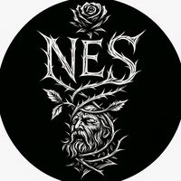 n.e.s_official