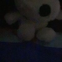 sia_my7