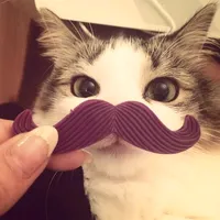 original sound - ifranceu