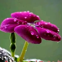 original sound - daany__writes