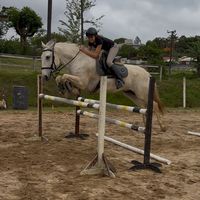elena_equestre