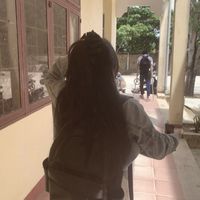 nhạc nền - bữa tối của muỗi🦟