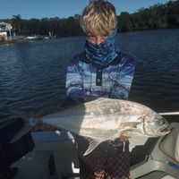 dylan_5347387