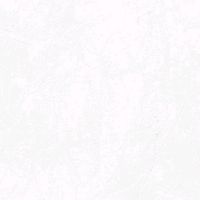 user7006849734493