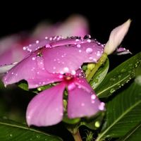 noor_n_07
