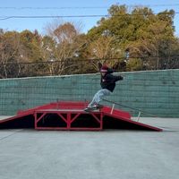 shinba179