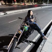 fern_26260