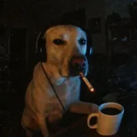 original sound - spider_mem1