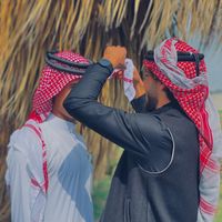 الصوت الأصلي