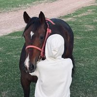 gulnur.08_08