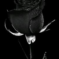 ad_il58