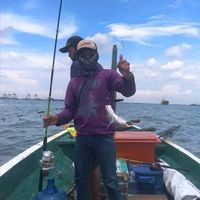 suara asli - Gelewo