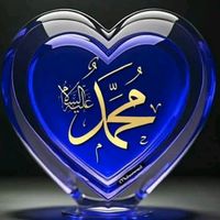 danish_hussain8
