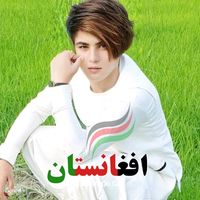 qareebjan23