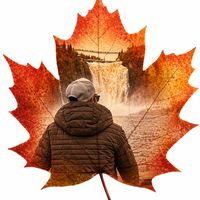 redmapleleaf2