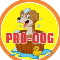 pro.dog.estetica