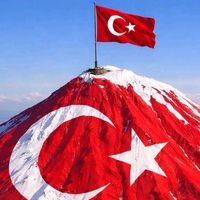 orijinal ses
