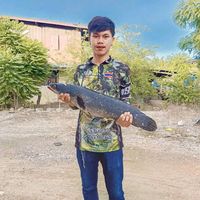 nattakor09