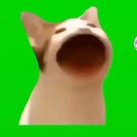 dddddddhtzjz