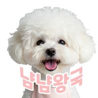 오리지널 사운드 - 냠냠왕국
